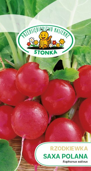 Rzodkiewka Saxa Polana
